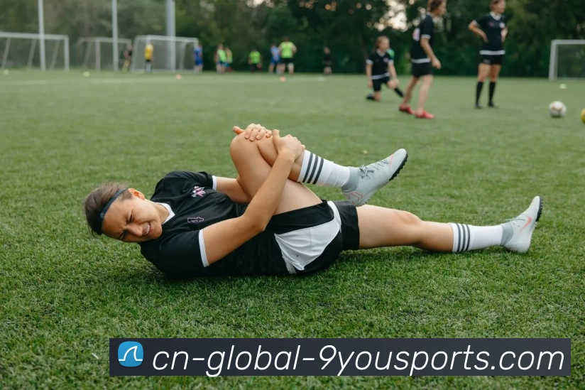 九游体育官网平台生态图