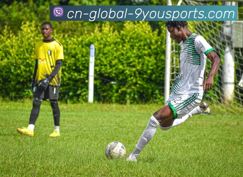 九游体育官网APP 封面图